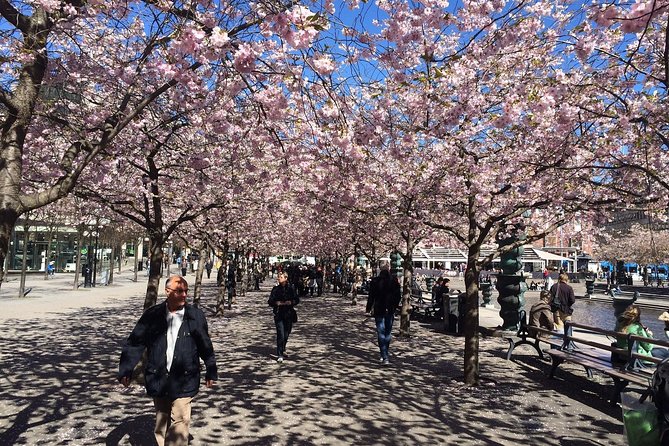 Private 4h VIP city tour by limousine car and guide in Stockholm - Museum Island and the “green island” approach: spacing out Stockholm’s big names