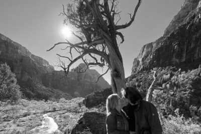 Private Guided Photography & Walking Tour of Zion National Park - Entering Zion: Scenic Drive Viewpoint and the Mt. Carmel Tunnel