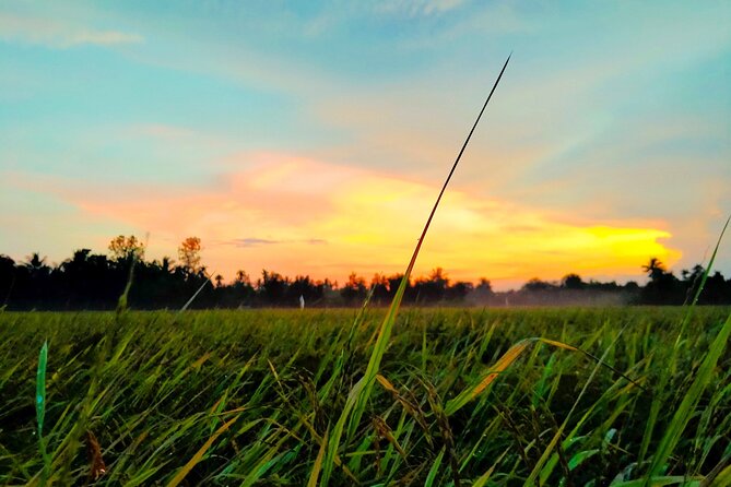 PRIVATE Mekong Delta 1 Day with Kayaking, Biking & Cooking - A Mekong Delta day that starts in Ho Chi Minh City