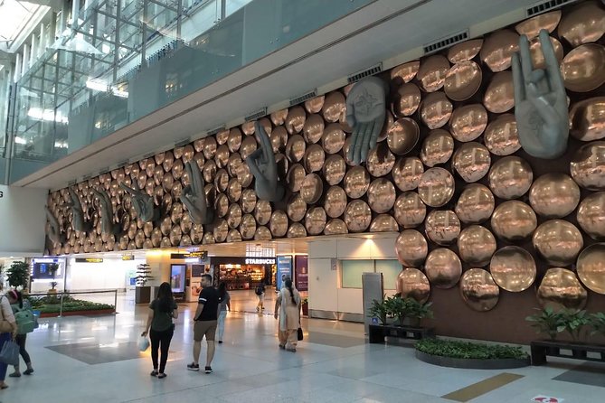 Private Round-Trip Transfer in Delhi with Optional VIP Assistance - VIP assistance for immigration, customs, and in-terminal electric transport