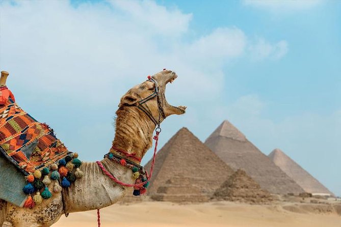 Private ViP all-inclusive Giza Pyramids,Sphinx,Inside Pyramid - Lunch at the VIP restaurant: a real reset, not just a meal