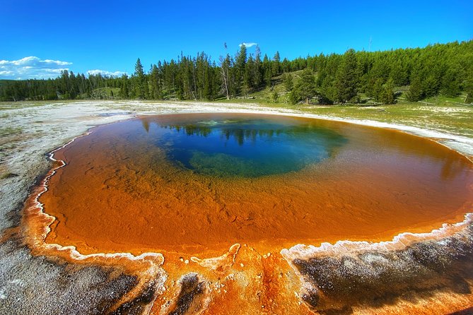 Private VIP Boutique Yellowstone Day Tour from Gardiner MT - What a private VIP day in Yellowstone really changes