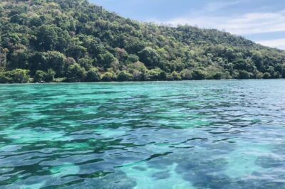 Private VIP Speed Boat to Phi Phi & Maya Bay - Getting to the pier: pickup, van time, and safety briefing