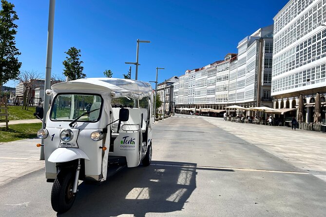 Private VIP Tour in Tuk Tuk Cadiz - Local neighborhoods you’ll remember later: La Viña and the market