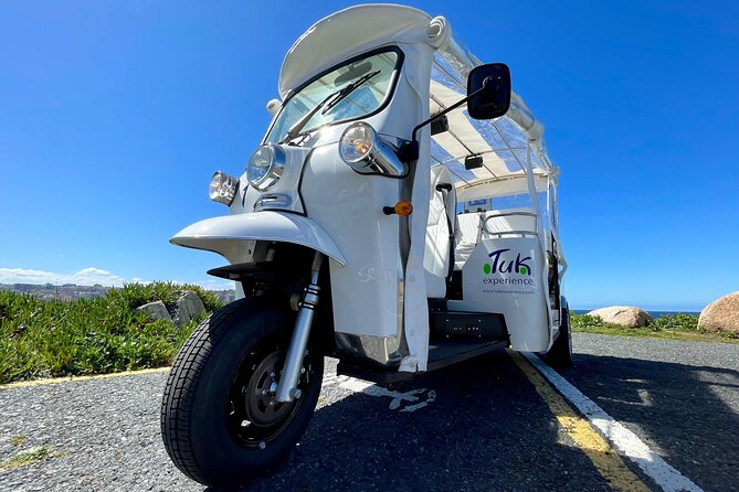 Private VIP Tour in Tuk Tuk Cadiz - The viewpoint stack: Torre Tavira, cathedral tower views, and Roman Theatre