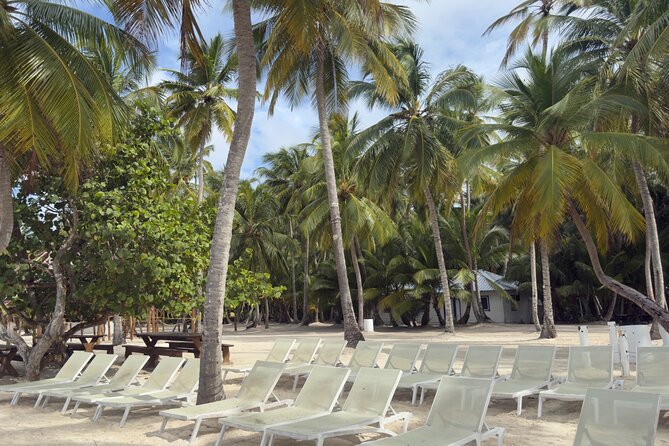 PRIVATE VIP tour Saona Island with Snorkeling, Starfish, Turtles - Cotubanamá National Park: Mangroves, Sea Turtles, and the Starfish Pool