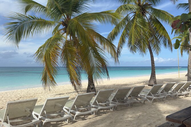 PRIVATE VIP tour Saona Island with Snorkeling, Starfish, Turtles - Price and Value: Is $440 Per Person Worth It?