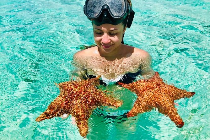 PRIVATE VIP tour Saona Island with Snorkeling, Starfish, Turtles - Snorkeling in Clear Caribbean Water: What to Expect Under the Surface