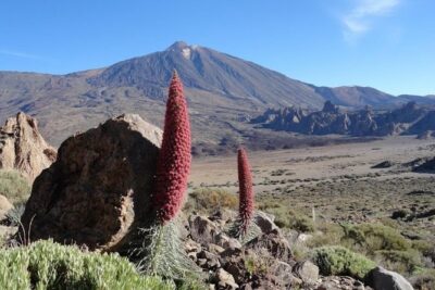 Private VIP Tour Tenerife Magic Circle - Los Roques de García and Observatorio del Teide: short stops, strong scenery