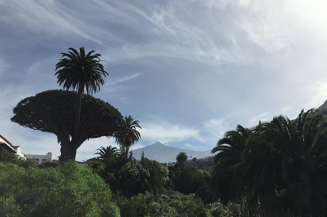 Private VIP Tour Tenerife Magic Circle - Garachico and El Drago Milenario: history and age in one arc