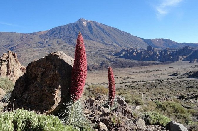 Private VIP Tour Tenerife Magic Circle - San Bernardo lunch stop: where the guide can earn their pay
