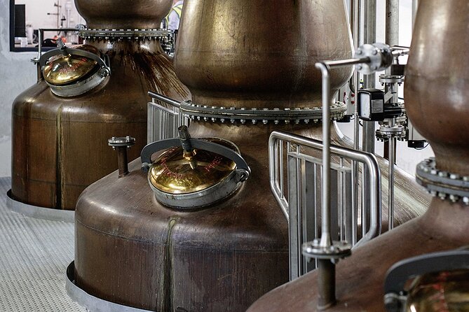 Private VIP Whiskey Tour from Dublin with Slane Castle Distillery - Should you book this Private VIP Whiskey Tour from Dublin with Slane Castle Distillery?