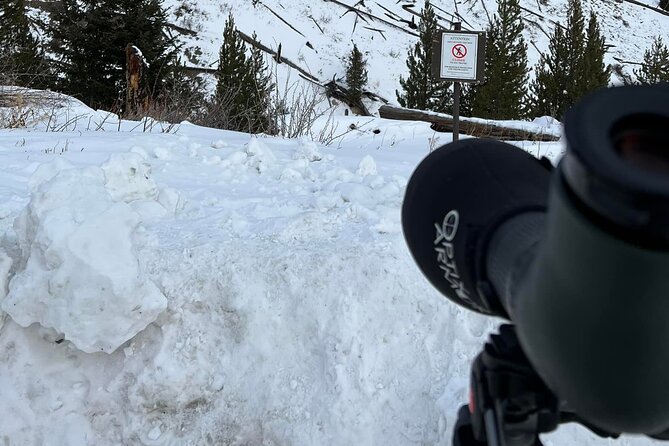 Private/VIP Wildlife Winter Safari of Yellowstone - Scopes, binoculars, and how to actually use them