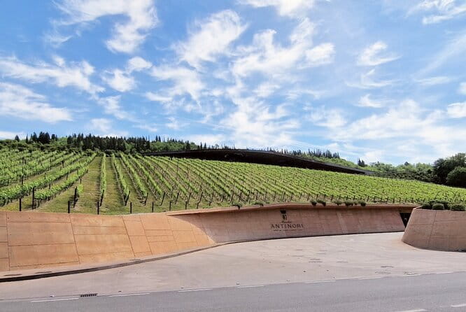 PRIVATE WINE TOUR TUSCANY Chianti Wineries, Expert English driver - Stop One: Chianti Winery Time With Panoramic Photo Breaks