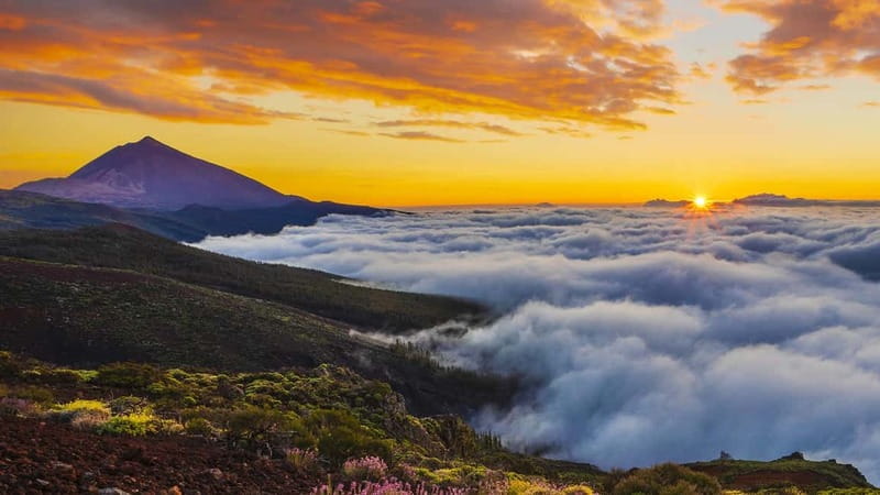 Puerto Cruz: VIP Teide Sunset & Stars, Guachiche Lunch+Cava - Mirador El Retamar (2,100 m) for Sunset and an Aperitif