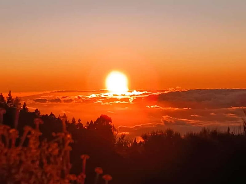 Puerto Cruz: VIP Teide Sunset & Stars, Guachiche Lunch+Cava - Who This Tour Fits Best (and Who Might Want Something Else)