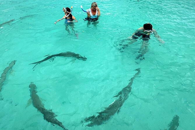 Puerto Rico's Only Private, VIP & Filmed Bio Bay Swim Experience - Snorkeling gear, mangroves, and the hypoallergenic silicone touch