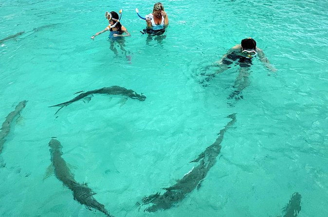Puerto Rico's Only Private, VIP & Filmed Bio Bay Swim Experience - Sunset snorkeling and boat time: the in-between moment you shouldn’t skip