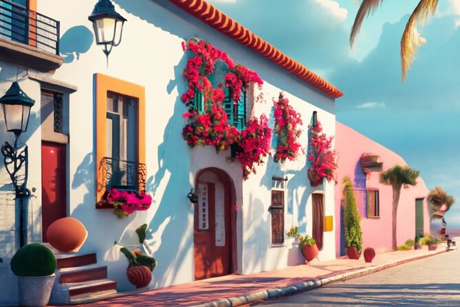 Puerto Vallarta VIP Promotional Tour - How this VIP promotional format gets you oriented fast