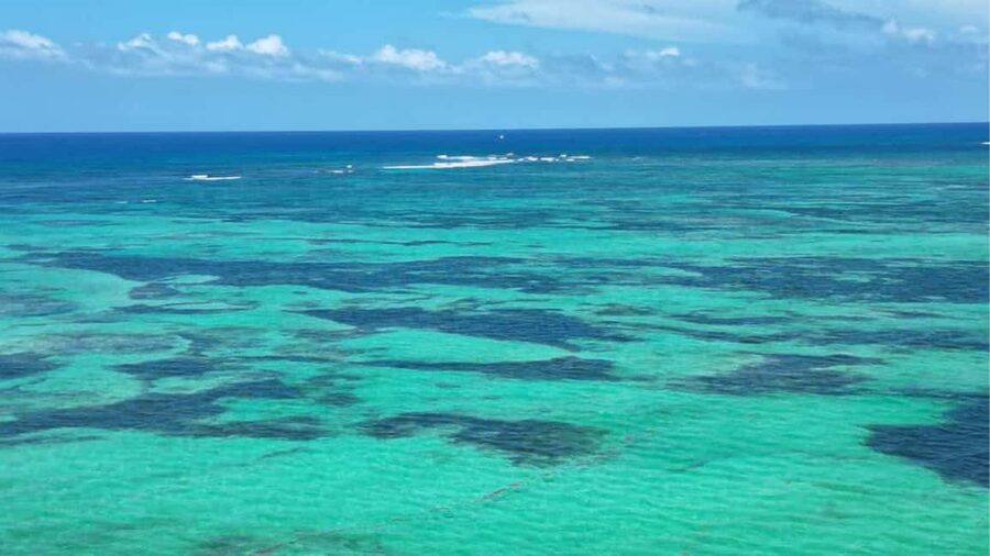 Punta Cana: Exclusive Private Catamaran Tour to Saona Island – VIP Service - What’s Included vs. What You Must Plan Yourself