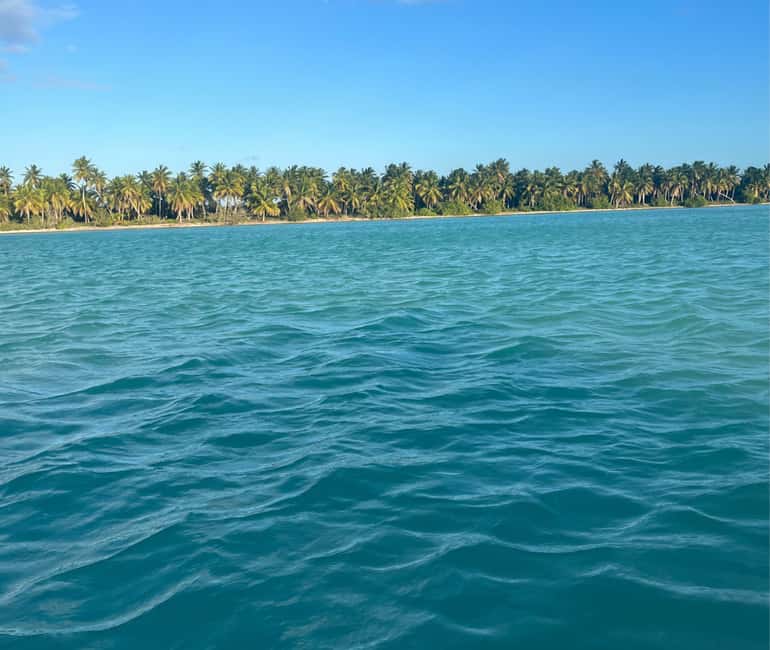 Punta Cana: Exclusive Private Catamaran Tour to Saona Island – VIP Service - Palmilla Natural Pool: The Swim Stop Most People Come For