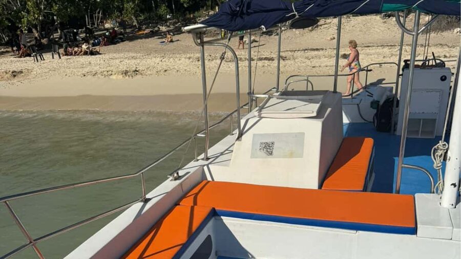 Punta Cana: Exclusive Private Catamaran Tour to Saona Island – VIP Service - Lunch by the Sea: Buffet, Local Food, and a Real View