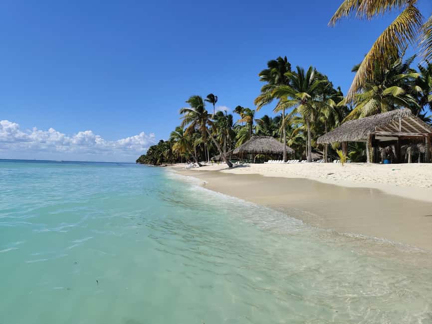 Punta Cana - Santo Domingo: Saona Island VIP Catamaran Tour - Saona Island VIP Catamaran: What This Day Trip Is Really About
