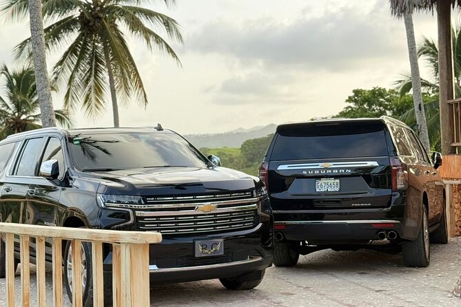 Punta Cana VIP Airport Shuttle - Timing Game: Flight Tracking and When the Driver Shows Up