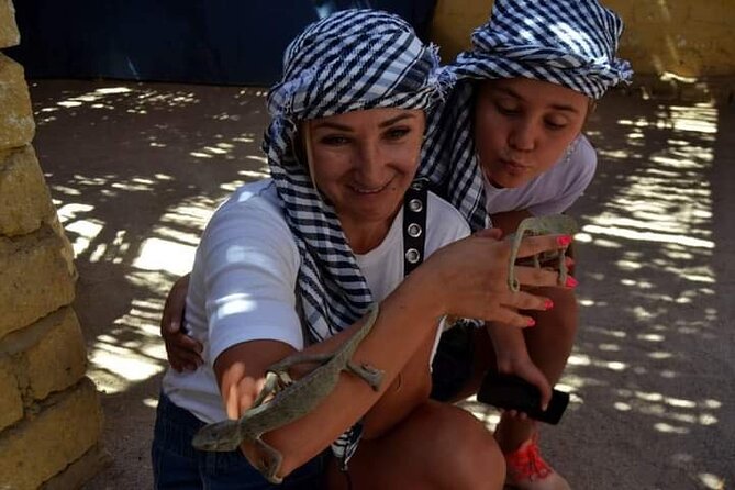 Quad 3 hours VIP safari adventure Hurghada - Safety and Comfort: What to Expect on an ATV Day