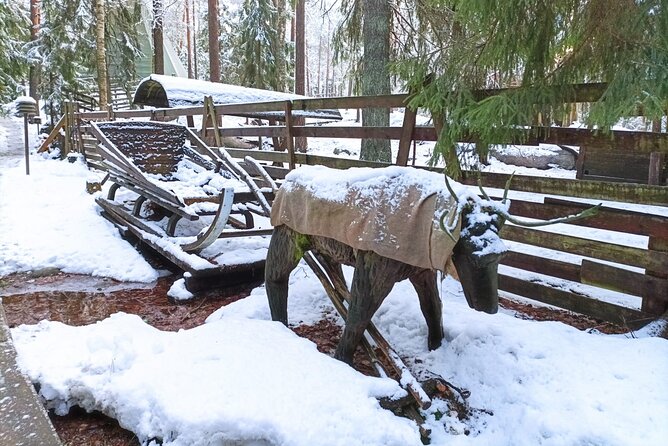 Reindeer Park & Horse Stables Safari - Practical tips so your day goes smoothly