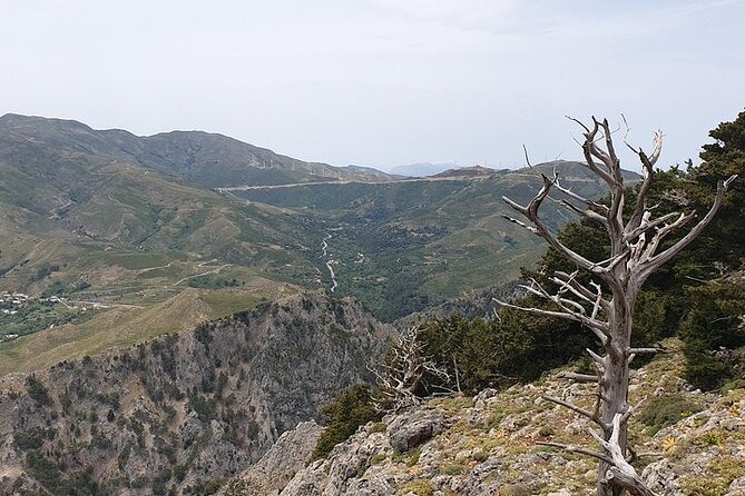 Rethymno Tour - VIP Private Tour - Lunch at a traditional tavern with unlimited Cretan wine