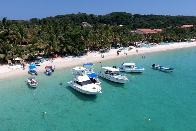 Roatan VIP Free-Style Private Tour - A private Roatán day you can actually steer