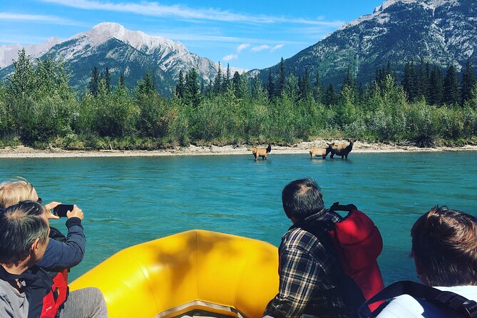 Rocky mountain - VIP Experience - Private Boat - VIP Private Boat in Canmore: What 1.5 Hours on the Water Really Means