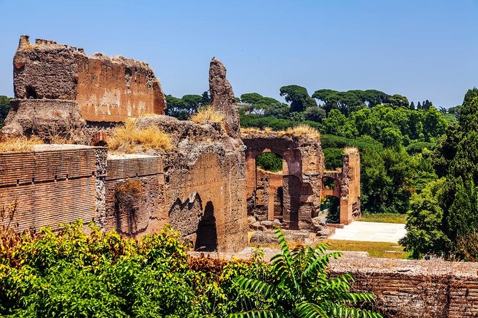 Rome Exclusive Caracalla Bath Private Guided Tour VIP Entry - What you’ll learn (beyond the postcard facts)