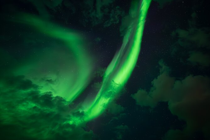 Rovaniemi: Northern Lights Small Group Money-Back Guarantee - Price and Value: What $156-ish buys in real aurora hunting time