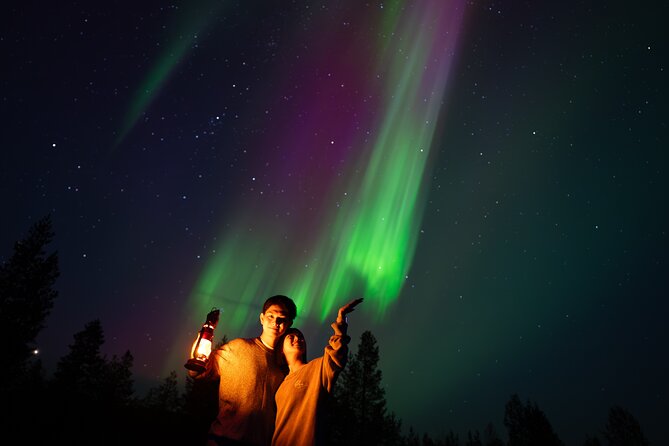 Rovaniemi: Northern Lights Small Group Money-Back Guarantee - Should You Book Lapin Taivas for the Aurora Hunt?