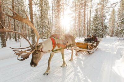 Rovaniemi Santa Claus Village Husky and Reindeer Tour VIP VAN - Santa Claus Village: meet Santa, then use your 3 hours like a pro