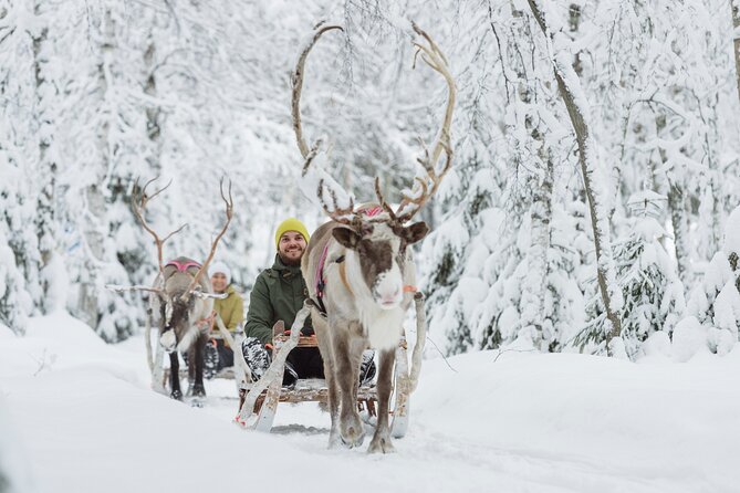 Rovaniemi Santa Claus Village Husky and Reindeer Tour VIP VAN - Who this tour suits best in winter