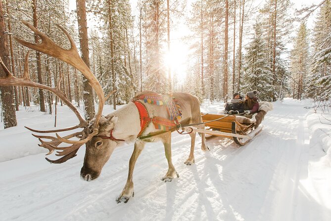 Rovaniemi Santa Claus Village Husky and Reindeer Tour VIP VAN - Santa Claus Village: meet Santa, then use your 3 hours like a pro