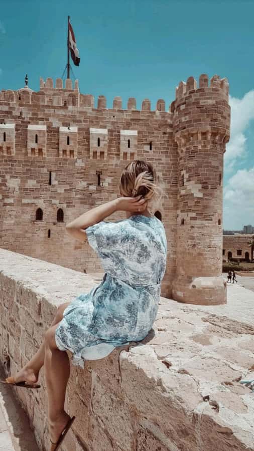 Royal Alexandria Day Trip: An Exclusive VIP Experience - Library of Alexandria: why the statues matter and what you should know first