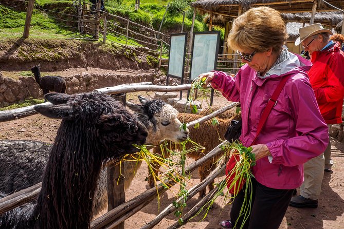 Sacred Valley and Machu Picchu Tour in 2 days with Peru Vip - Day 2: Machu Picchu before crowds, then free time to enjoy it your way