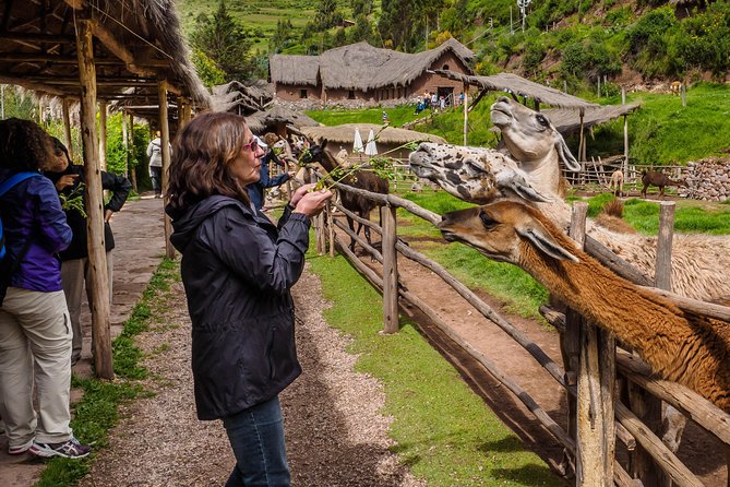 Sacred Valley and Machu Picchu Tour in 2 days with Peru Vip - Who this tour fits best