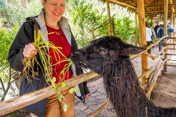 Sacred Valley and Machu Picchu Tour in 2 days with Peru Vip - Practical tips to make your two days smoother