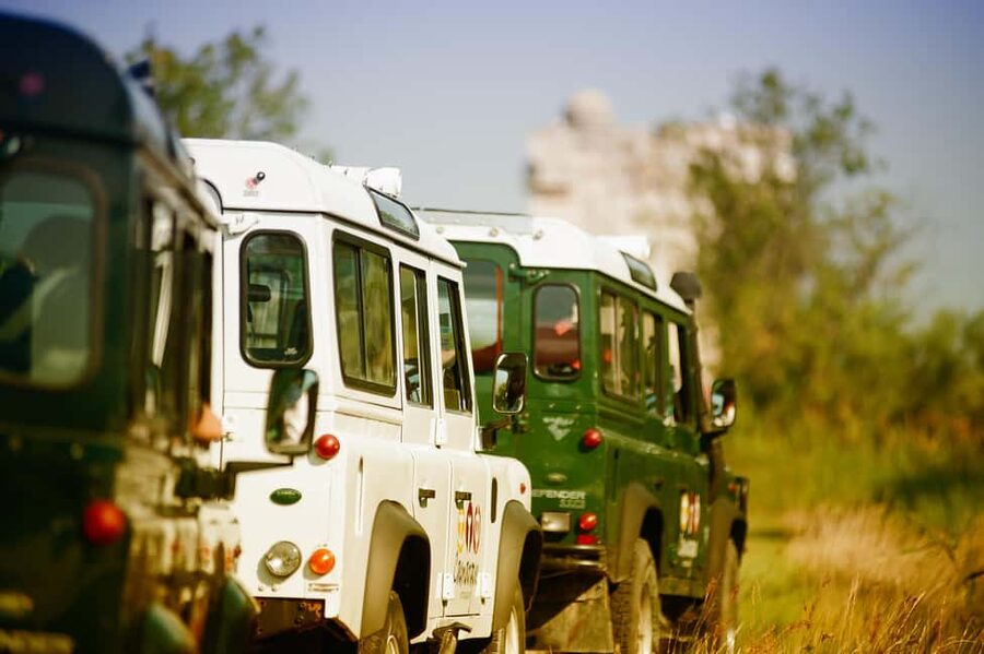 Safari 4x4 in Camargue / VIP Tour 3h30 / Grau du Roi - The road of senses in a 4x4: what you’ll actually be doing