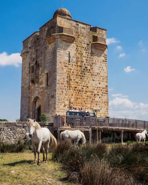 Safari 4x4 in Camargue / VIP Tour 3h30 / Grau du Roi - Getting to the start: pickup and the Camargue Autrement rhythm