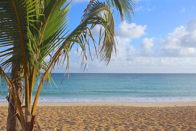 Safari Full Day VIP Experience - Why this Punta Cana Safari VIP day works