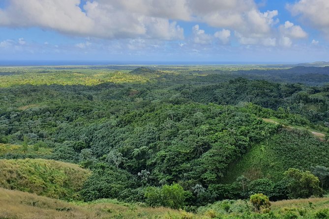 Safari Full Day VIP Experience - Stop 1: Macao Beach for 40 minutes of sun and photos
