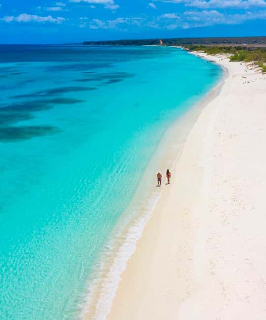 Santo Domingo: Bahía de las Aguilas Beach Paradise - Should you book Bahia de las Águilas Tours?