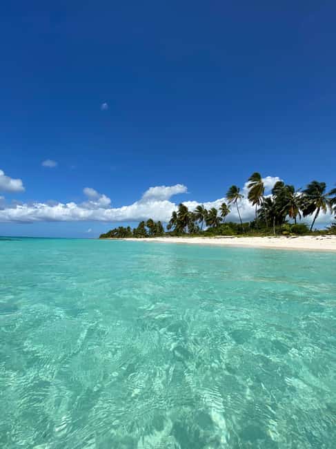 Saona Island VIP: 4 Beaches , Mano Juan & Canto de la Playa - VIP Saona in plain terms: what kind of day this is
