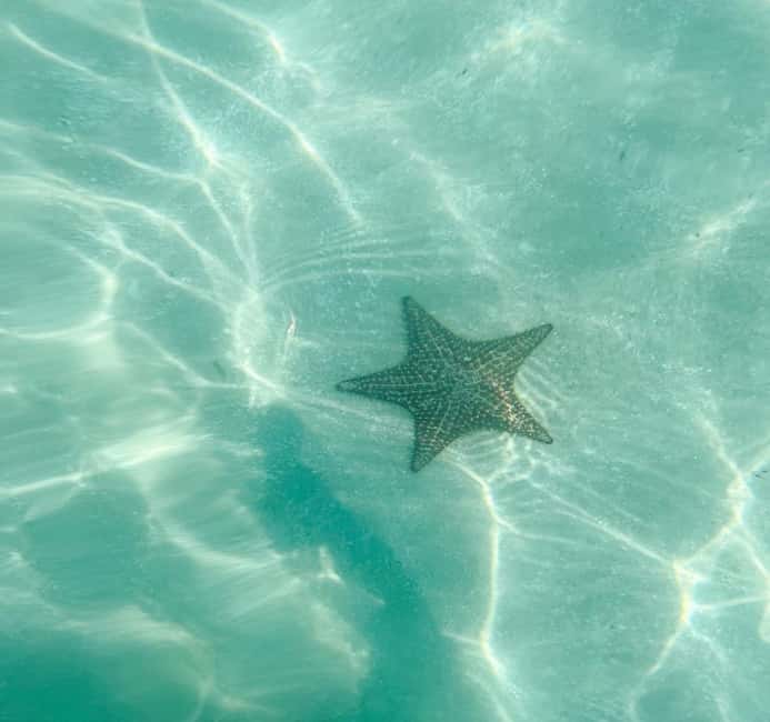 Saona Island VIP: 4 Beaches , Mano Juan & Canto de la Playa - Canto de la Playa: your first beach stop (and why timing helps)